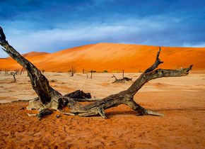 „Lumix Photo Adventure Namibia“ ab Februar 2017