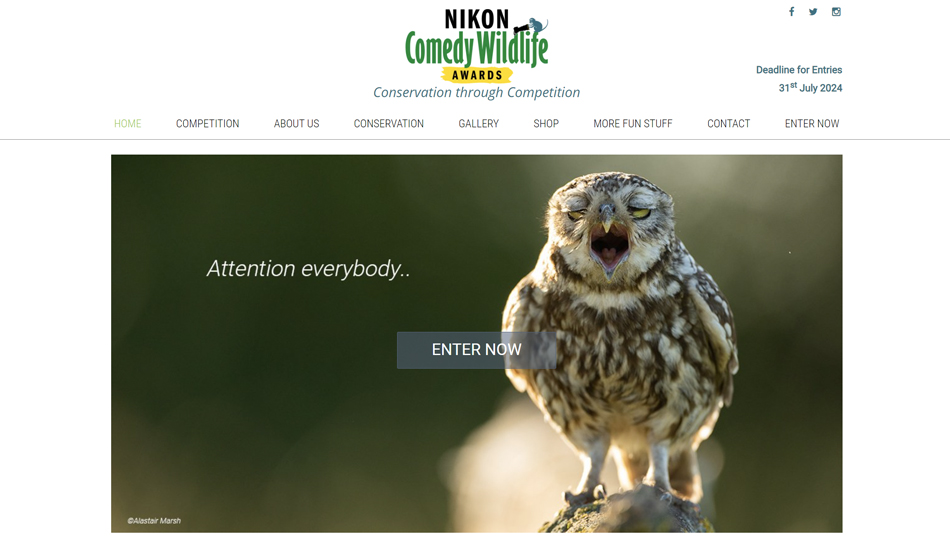 Nikon Comedy Wildlife Awards