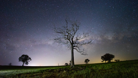 Sternenhimmel, aufgenommen mit dem Samyang AF 14mm F2.8 RF, © Daniel Gangur