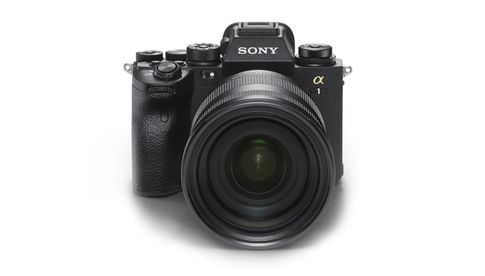 „Best Full Frame Professional Camera“: Sony Alpha 1