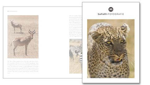 Kostenlose E-Book „Safari-Fotografie“