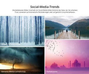 Shutterstock Trends