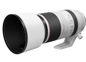Canon RF 100-500mm F4.5-7L IS USM