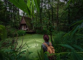 „Into the Jungle“ © Rebekka Bohley 