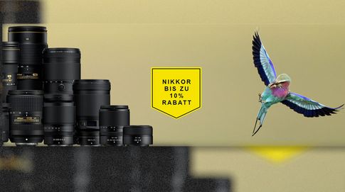 Nikon Objektiv Wochen: Zehn Prozent Rabatt bis 14. September 2022