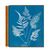 Peter Walther: Anna Atkins. Cyanotypes. Taschen 23, ISBN 978 3 8365 9098 3