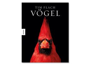 Tim Flach: Vögel. Knesebeck Verlag 2021.
