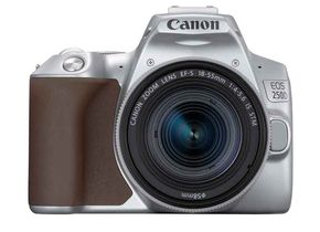 Die APS-C-Kamera Canon EOS 250D ist in drei Farbgebungen erhältlich.