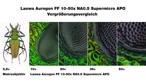 Vergleich einer typischen Makroaufnahme mit den Möglichkeiten des Laowa Aurogon FF 10-50x NA0.5 Supermicro APO