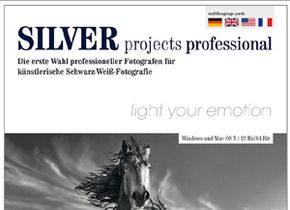 SILVER projects professional