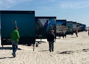 Epson-Digigraphie-Ausstellung am Strand von Zingst