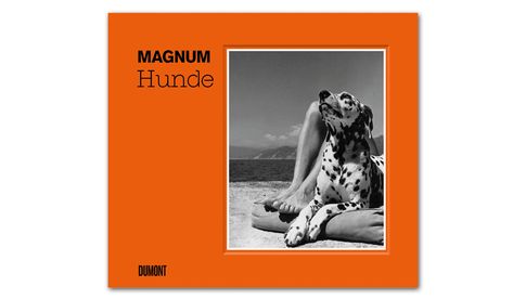 Magnum: Hunde. Dumont Verlag, 208 Seiten, ISBN 978 3 8321 9991 3