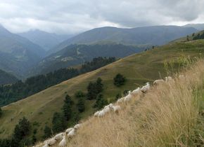 Am Rande Georgiens, hoch oben zwischen den Wolken und den Berggipfeln des Kaukasus, erhebt sich eine praktisch unberührte Landschaft aus dem Nebel: Tuschetien, eine Gegend bevölkert von halbnomadischen Schafzüchtern. © Elephant Doc