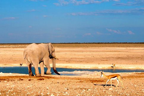 „Lumix Photo Adventure Namibia“: Faszinierende Landschafte und wildlebende Tiere erleben