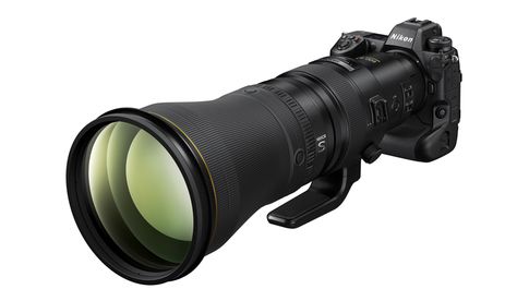 Das neue Nikkor Z 600 mm 1:4 TC VR S an der Nikon Z 9
