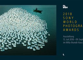 Sony World Photography Awards 2018 - Ausstellung im Willy-Brandt-Haus in Berlin
