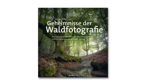 Yvonne Albe: Geheimnisse der Waldfotografie. dpunkt.verlag 2023, ISBN 978 3 86490 954 2