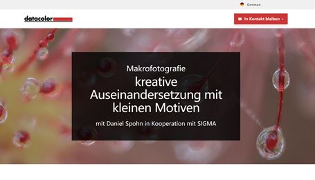 Kostenloses Webinar zur Makrofotografie von Datacolor und Sigma