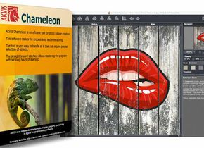 Akvis Chameleon 9: Vereinfachte Bildmontagen