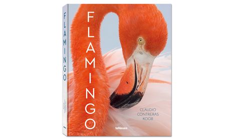 Claudio Contreras Koob: Flamingo. teNeues 2022.