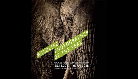 Ausstellung „Wildlife Fotografien des Jahres 2017“ vom 25. November 2017 bis zum 3. April 2018