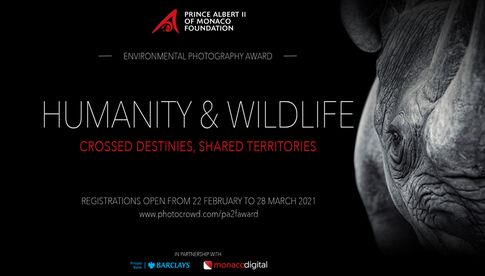 Premiere: Der „Environmental Photo Award“ findet 2021 zum ersten Mal statt.