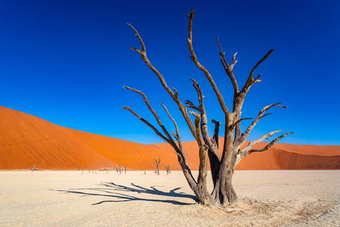 Aus „Namibia“, © Timm Allrich
