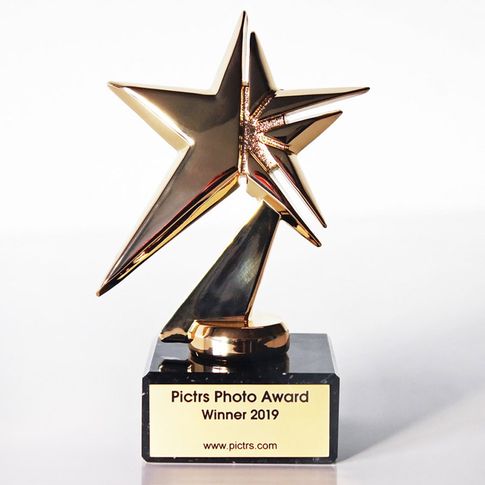 Für die Teilnehmer geht es um den "Pictrs Photo Award 2019"-Siegerpokal.