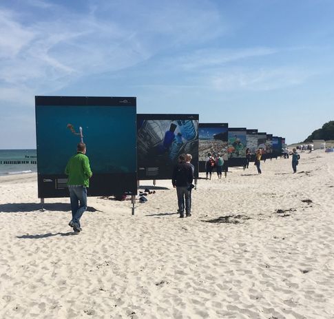 Auch die Exponate für die große Strandausstellung druckt Epson für „horizonte zingst“. (Foto: Epson) 