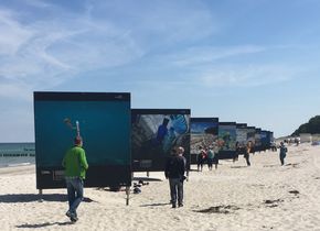 Auch die Exponate für die große Strandausstellung druckt Epson für „horizonte zingst“. (Foto: Epson) 
