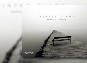 Andreas H. Bitesnich: "Winter Diary"
