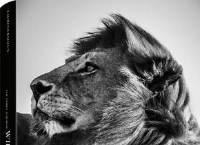Laurent Baheux: The Family Album of Wild Africa