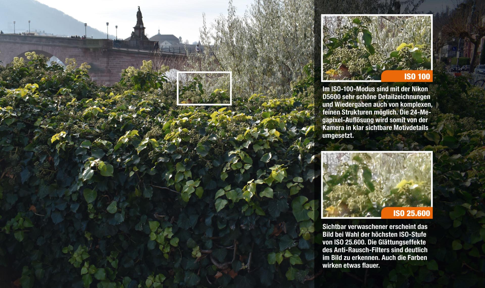 Vergleich Bildrauschen