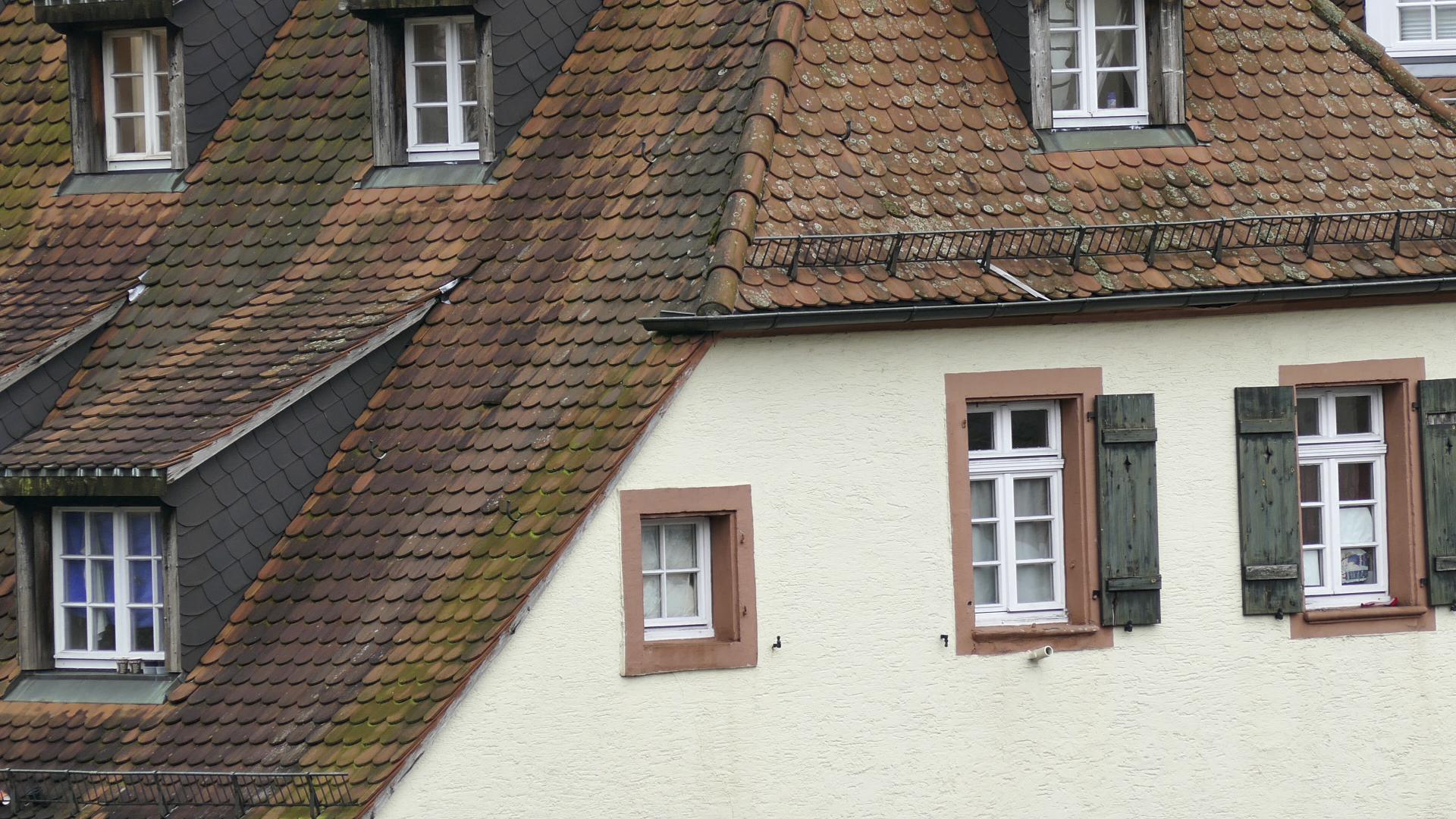 Realbildaufnahme - Tele