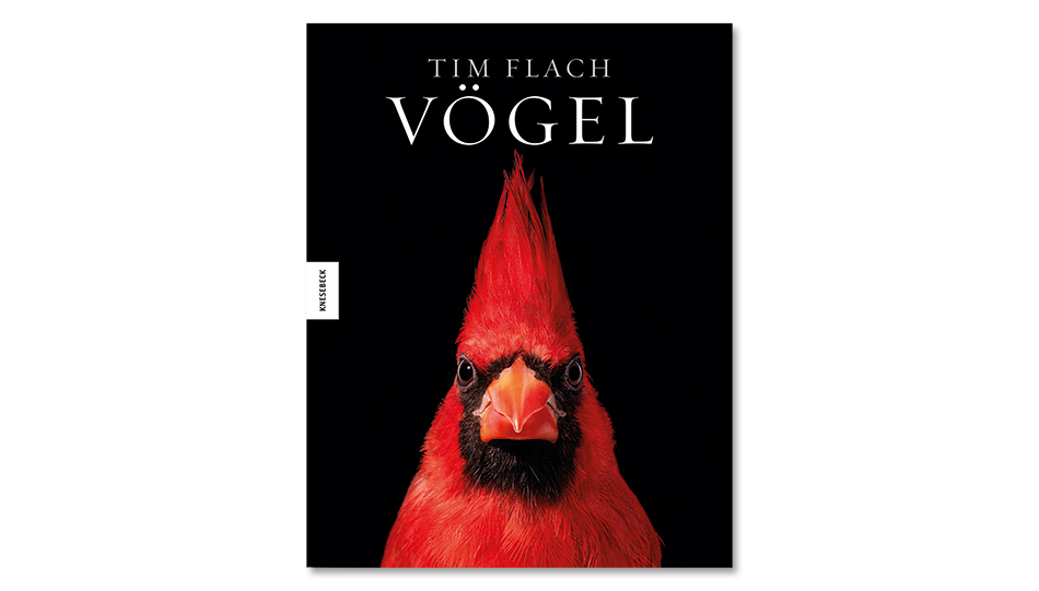Tim Flach: Vögel. Knesebeck Verlag 2021.