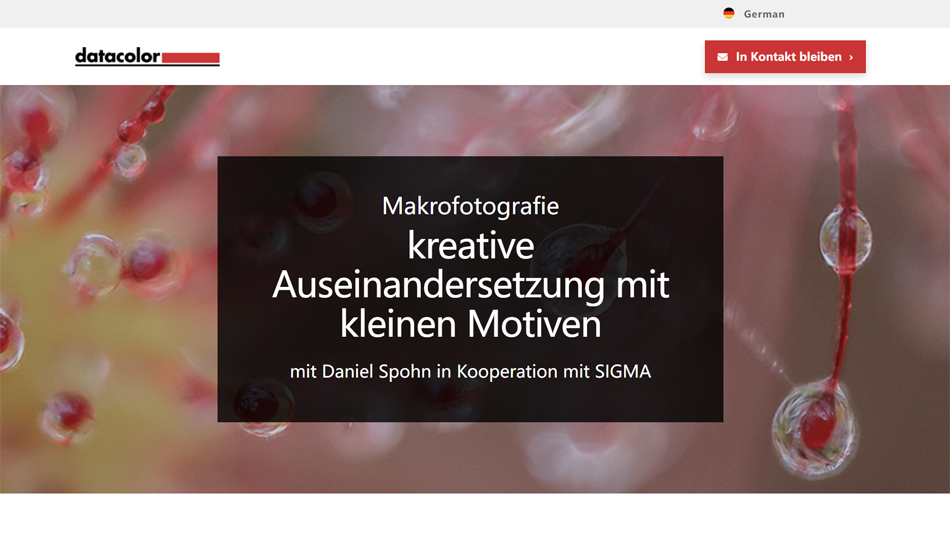 Kostenloses Webinar zur Makrofotografie von Datacolor und Sigma