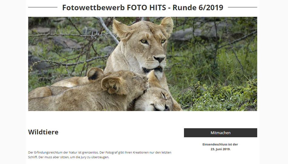 FOTO HITS-Wettbewerb „Wildtiere“ vom 20. Mai 2019 bis 23. Juni 2019.