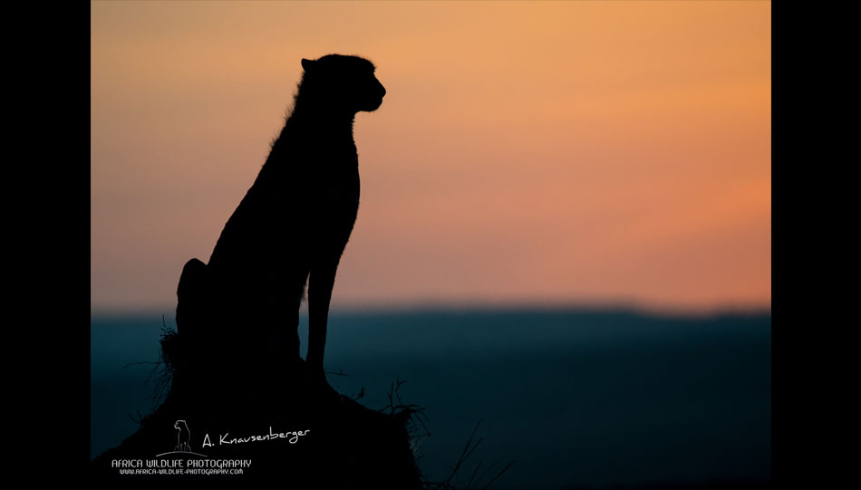 Sigma Kenia Wildlife Safari 2019 - Foto: Andreas Knausenberger