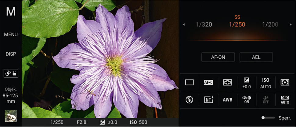 Die Verwandtschaft der App Photography Pro mit den Alpha-Kameras ist unverkennbar.