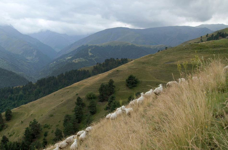 Am Rande Georgiens, hoch oben zwischen den Wolken und den Berggipfeln des Kaukasus, erhebt sich eine praktisch unberührte Landschaft aus dem Nebel: Tuschetien, eine Gegend bevölkert von halbnomadischen Schafzüchtern. © Elephant Doc